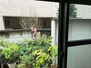 東高円寺駅 徒歩5分 1階の物件内観写真